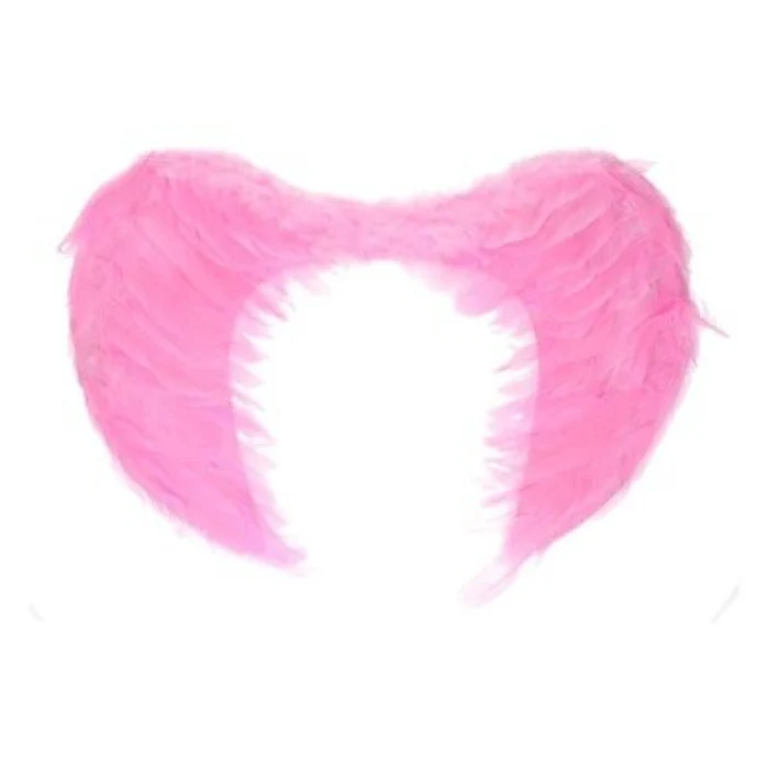 Engelenvleugels veren roze