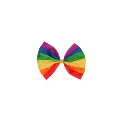 Haarclip -regenboog strik