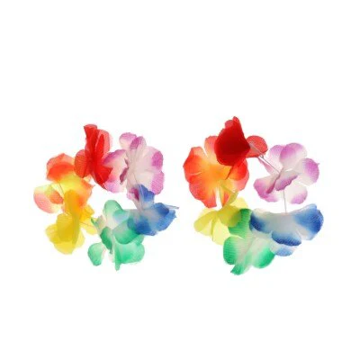 Miniatuur 1