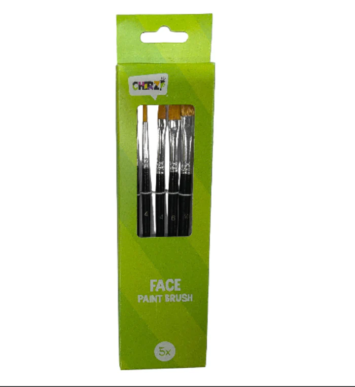 Schmink penselen set 5 stuks
