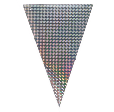 Vlaggenlijn holografisch zilver 5m