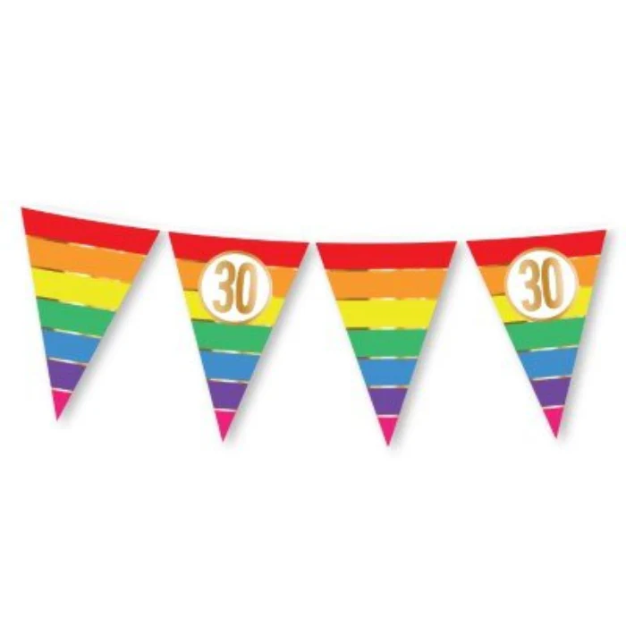 Vlaggenlijn regenboog 30 jaar 15 vlaggen 5m